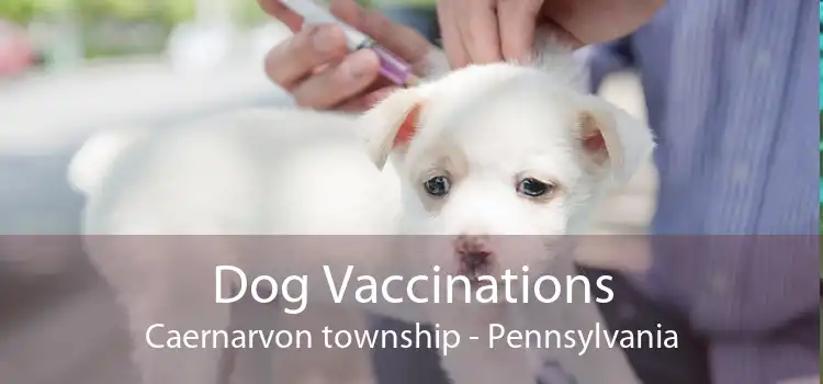 Dog Vaccinations Caernarvon township - Pennsylvania
