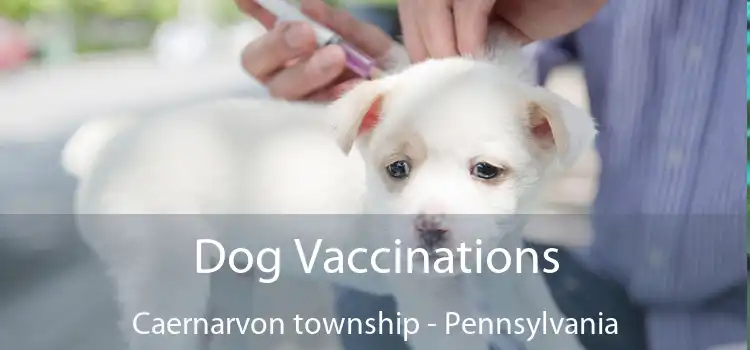 Dog Vaccinations Caernarvon township - Pennsylvania