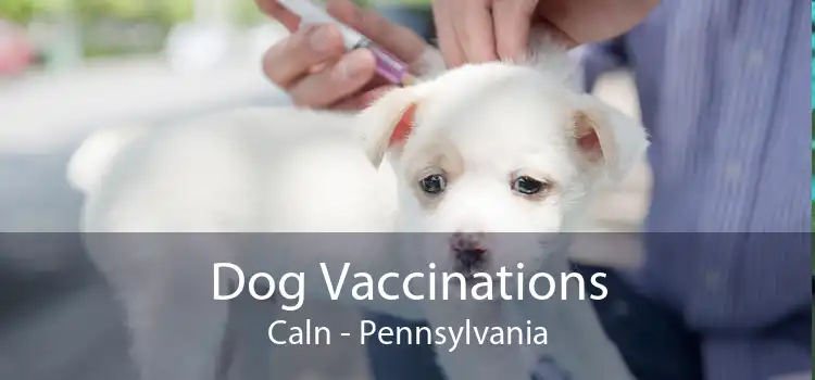 Dog Vaccinations Caln - Pennsylvania