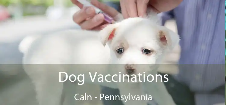 Dog Vaccinations Caln - Pennsylvania