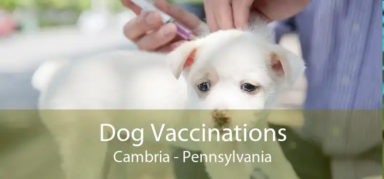 Dog Vaccinations Cambria - Pennsylvania