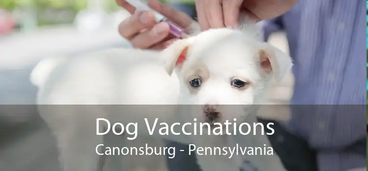 Dog Vaccinations Canonsburg - Pennsylvania