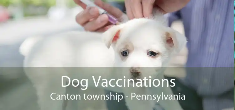 Dog Vaccinations Canton township - Pennsylvania
