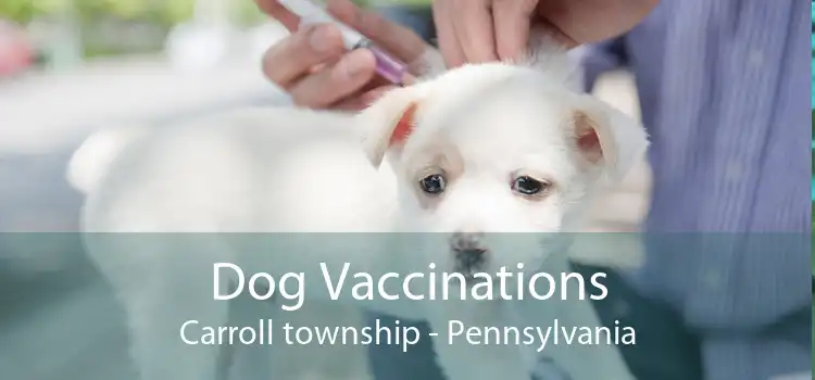Dog Vaccinations Carroll township - Pennsylvania