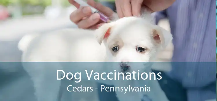 Dog Vaccinations Cedars - Pennsylvania