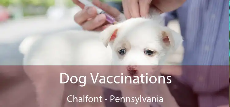 Dog Vaccinations Chalfont - Pennsylvania