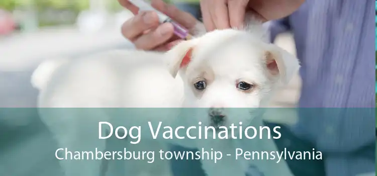 Dog Vaccinations Chambersburg township - Pennsylvania