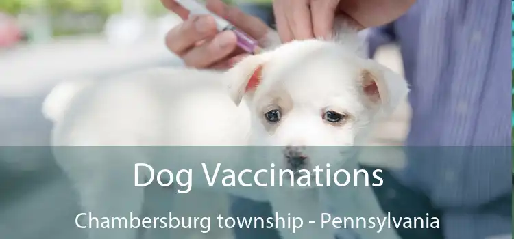 Dog Vaccinations Chambersburg township - Pennsylvania