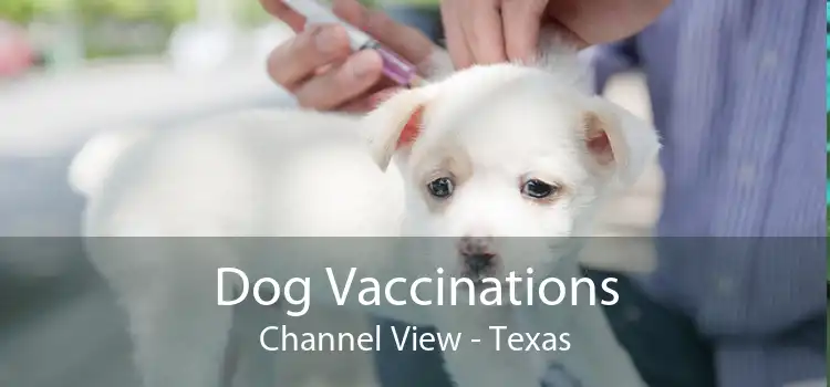 Dog Vaccinations Channel View - Texas
