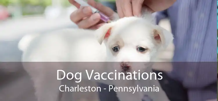 Dog Vaccinations Charleston - Pennsylvania