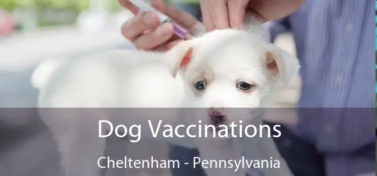 Dog Vaccinations Cheltenham - Pennsylvania
