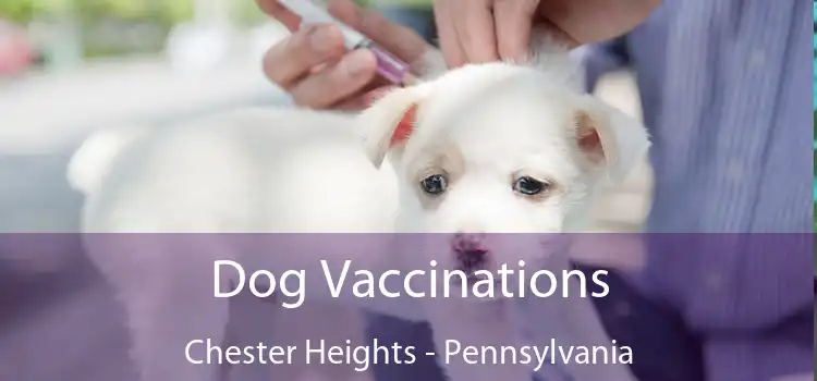 Dog Vaccinations Chester Heights - Pennsylvania