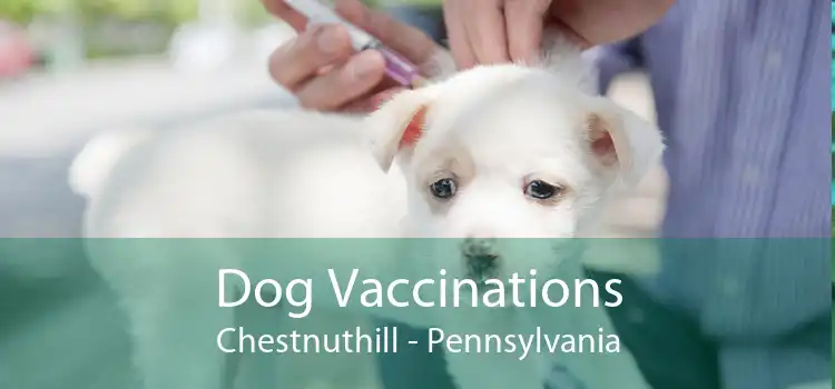 Dog Vaccinations Chestnuthill - Pennsylvania