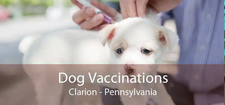 Dog Vaccinations Clarion - Pennsylvania