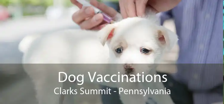 Dog Vaccinations Clarks Summit - Pennsylvania