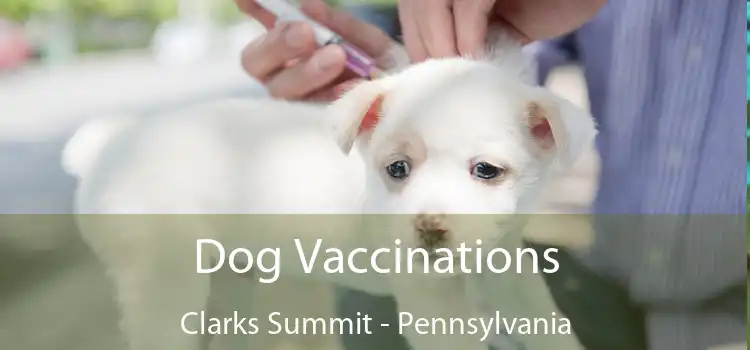 Dog Vaccinations Clarks Summit - Pennsylvania