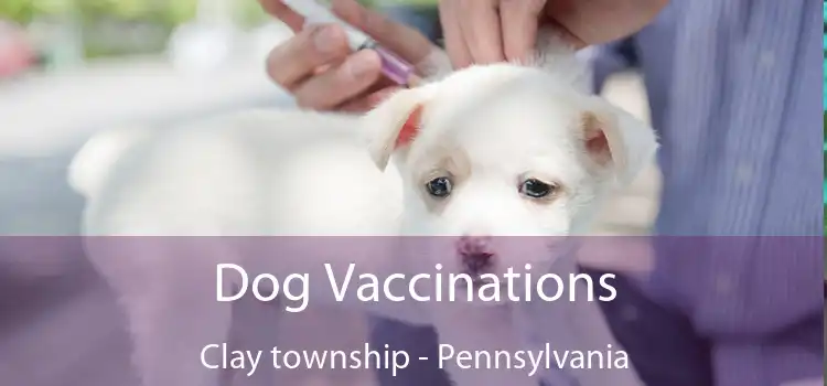 Dog Vaccinations Clay township - Pennsylvania