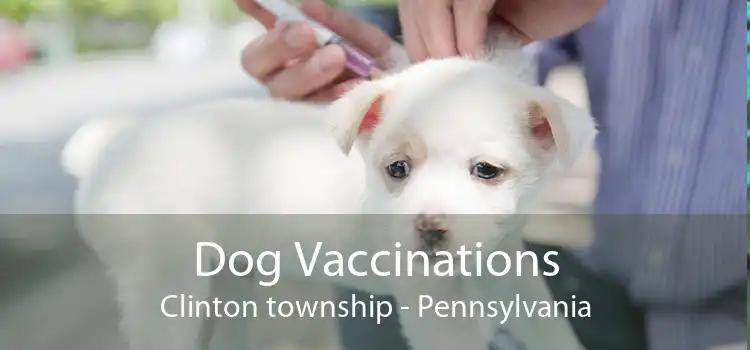 Dog Vaccinations Clinton township - Pennsylvania