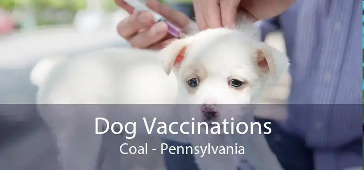 Dog Vaccinations Coal - Pennsylvania
