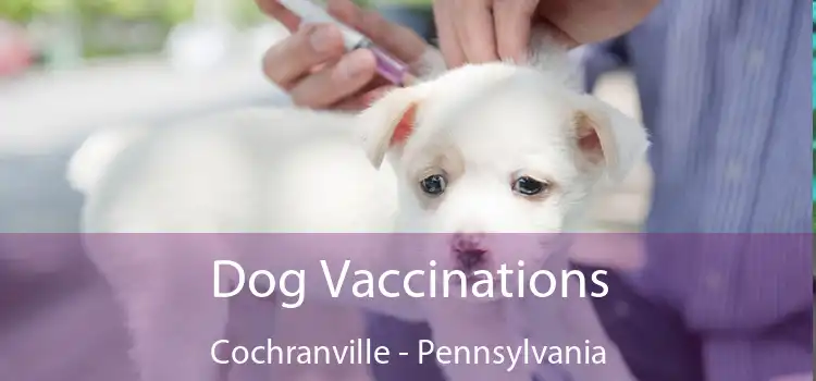 Dog Vaccinations Cochranville - Pennsylvania