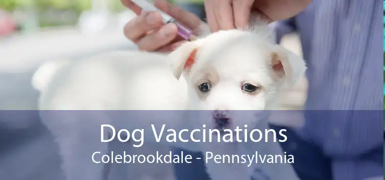 Dog Vaccinations Colebrookdale - Pennsylvania