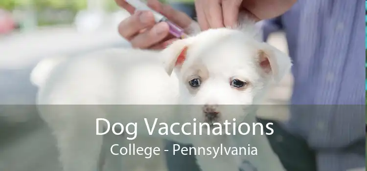 Dog Vaccinations College - Pennsylvania