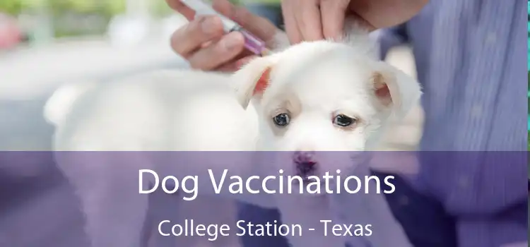 Dog Vaccinations College Station - Texas