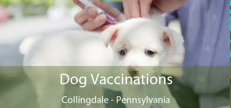 Dog Vaccinations Collingdale - Pennsylvania