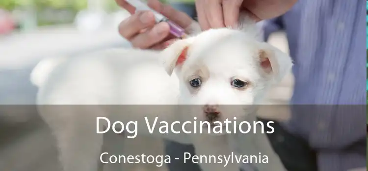 Dog Vaccinations Conestoga - Pennsylvania