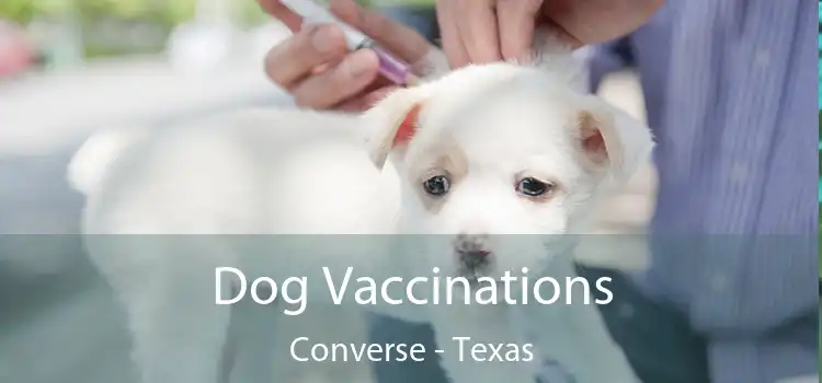 Dog Vaccinations Converse - Texas