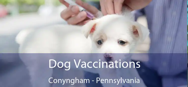 Dog Vaccinations Conyngham - Pennsylvania