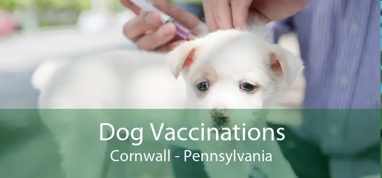 Dog Vaccinations Cornwall - Pennsylvania