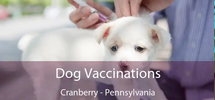 Dog Vaccinations Cranberry - Pennsylvania