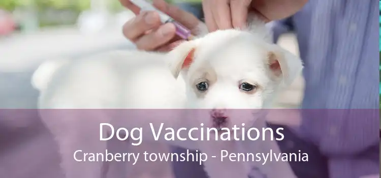 Dog Vaccinations Cranberry township - Pennsylvania