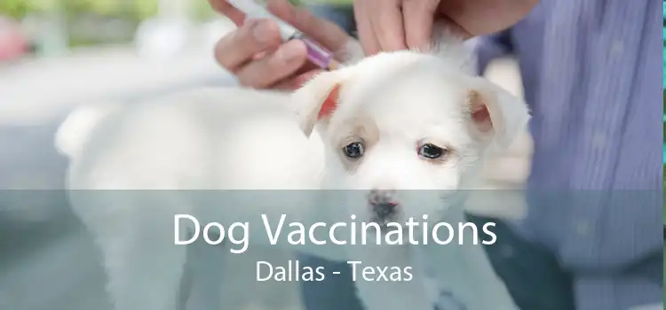 Dog Vaccinations Dallas - Texas