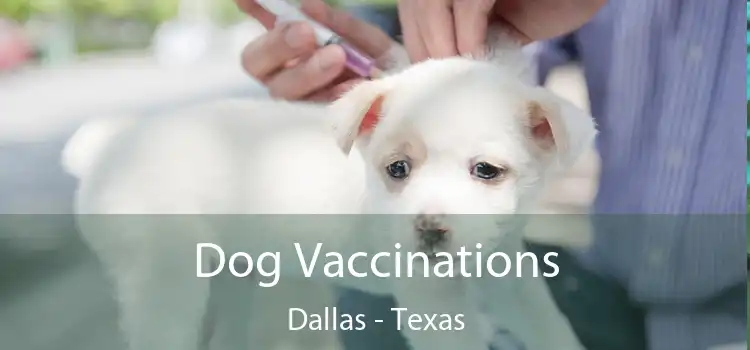 Dog Vaccinations Dallas - Texas