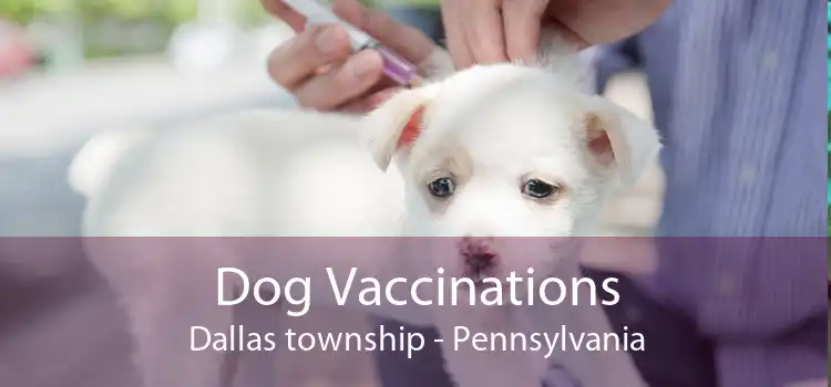 Dog Vaccinations Dallas township - Pennsylvania