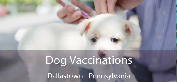 Dog Vaccinations Dallastown - Pennsylvania