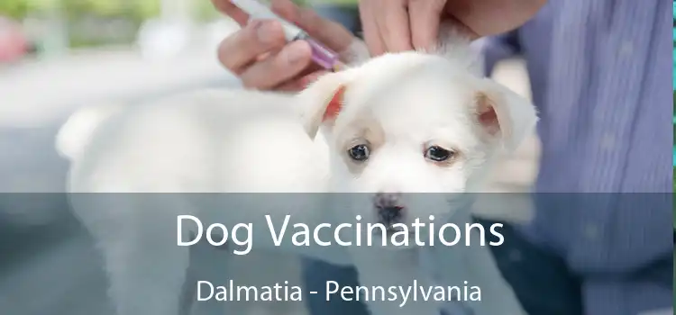 Dog Vaccinations Dalmatia - Pennsylvania