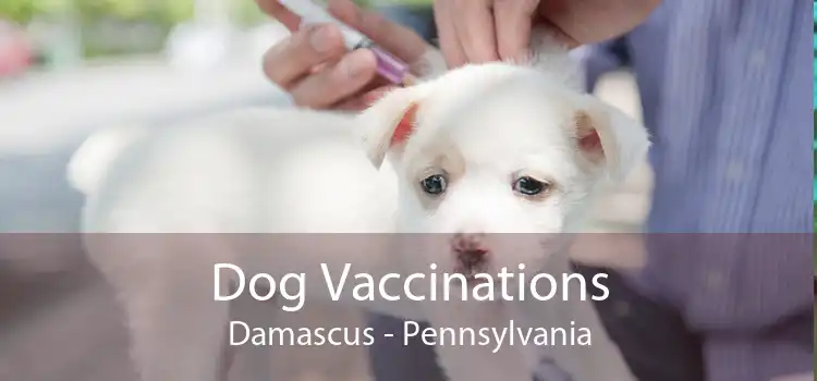 Dog Vaccinations Damascus - Pennsylvania