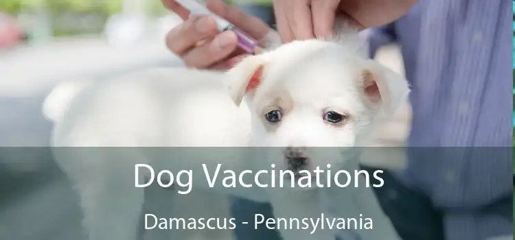 Dog Vaccinations Damascus - Pennsylvania