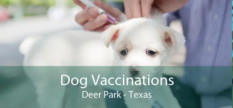 Dog Vaccinations Deer Park - Texas