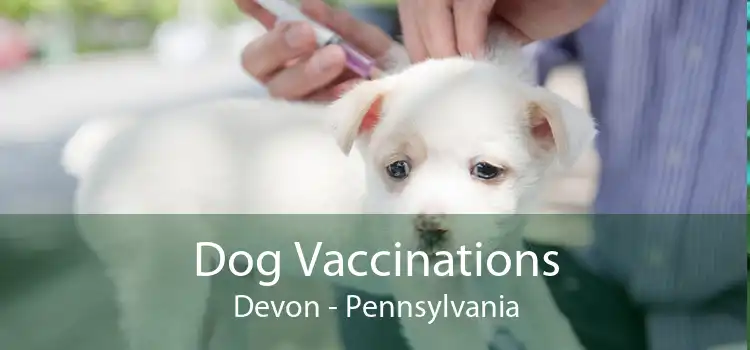 Dog Vaccinations Devon - Pennsylvania