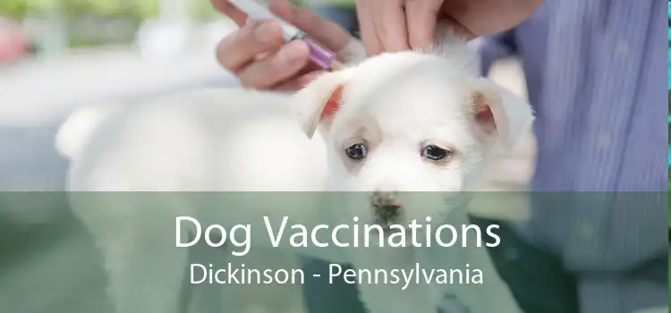 Dog Vaccinations Dickinson - Pennsylvania
