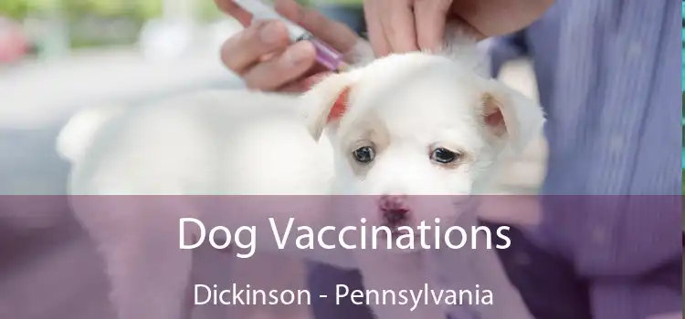 Dog Vaccinations Dickinson - Pennsylvania