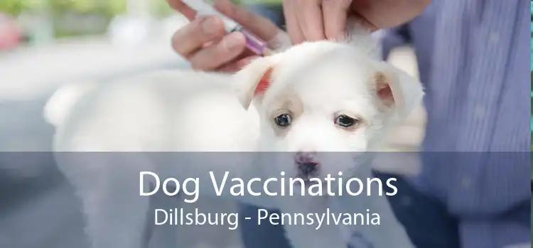 Dog Vaccinations Dillsburg - Pennsylvania