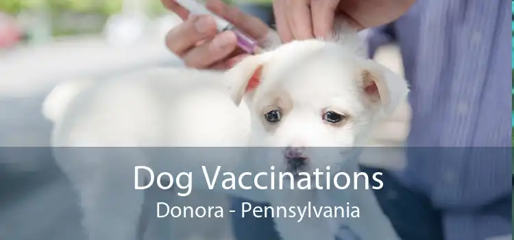 Dog Vaccinations Donora - Pennsylvania