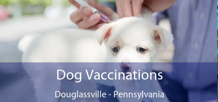 Dog Vaccinations Douglassville - Pennsylvania