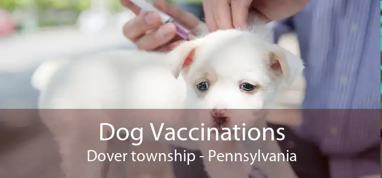 Dog Vaccinations Dover township - Pennsylvania