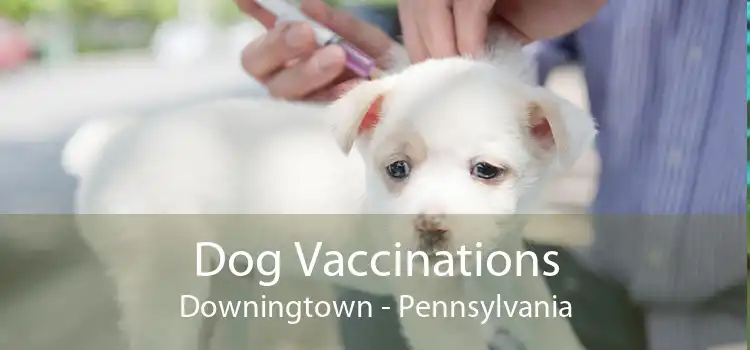 Dog Vaccinations Downingtown - Pennsylvania